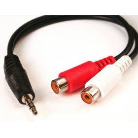 3.5M TO 2 RCA F                